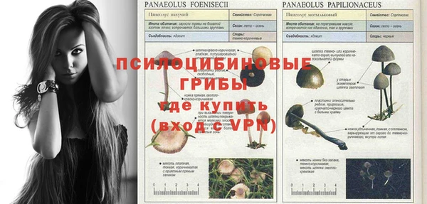 винт Володарск